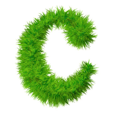 High resolution green grass font isolated o white