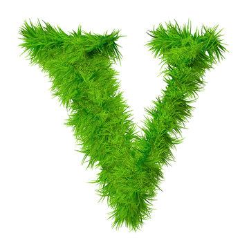 High resolution green grass font isolated o white