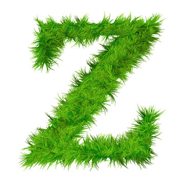 High resolution green grass font isolated o white