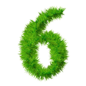 High resolution green grass font isolated o white