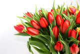 Fototapeta Tulipany - Bouquet of tulip