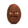 angry coconut