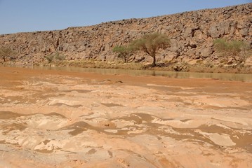 Wall Mural - Oued, Libye