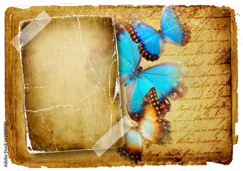 vintage background with blank frame and butterflies