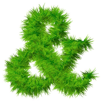 High resolution conceptual grass symbol isolated on white
