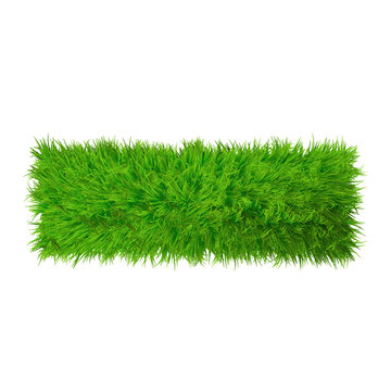 High resolution conceptual grass symbol isolated on white