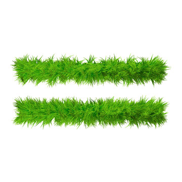 High resolution conceptual grass symbol isolated on white