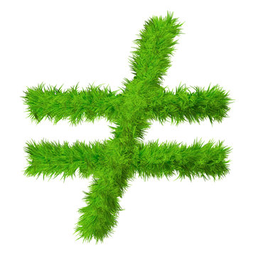High resolution conceptual grass symbol isolated on white