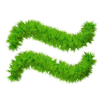 High resolution conceptual grass symbol isolated on white