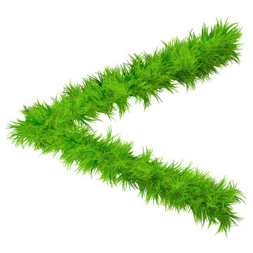 High resolution conceptual grass symbol isolated on white
