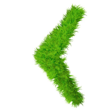 High resolution conceptual grass symbol isolated on white