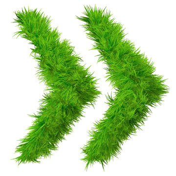 High resolution conceptual grass symbol isolated on white