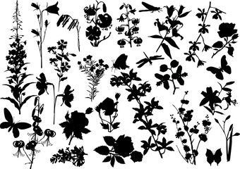 Wall Mural - large set of flower silhouettes