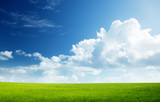 Fototapeta Tęcza - field of grass and perfect sky