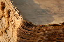 Edge Of An Old Book