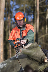 Forstarbeiter beim Brennholz sägen