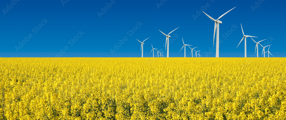 turbine eoliche in prato giallo fiorito - obrazy, fototapety, plakaty 