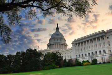 Wall Mural - Washington DC