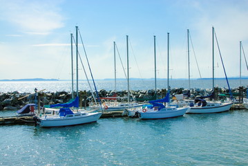 Wall Mural - Yacht marina