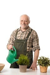 Poster - Senior man watering plants