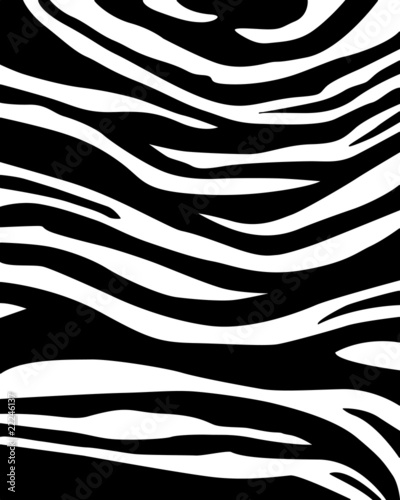 Naklejka dekoracyjna Zebraskin