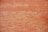 Fototapeta  - Brick wall