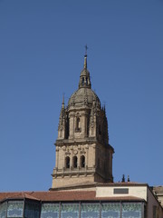 Wall Mural - Catedral de Salamanca y Casa Lis