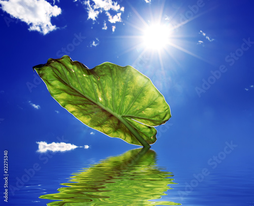naturaleza