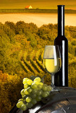 Fototapeta  - wine composition on vineyard background