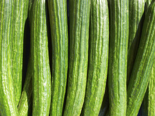 Cucumbers closeup background