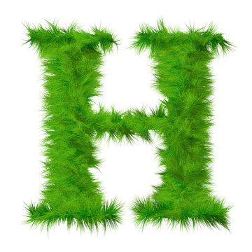 High resolution grass font isolated on white background