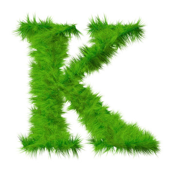 High resolution grass font isolated on white background