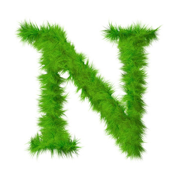 High resolution grass font isolated on white background