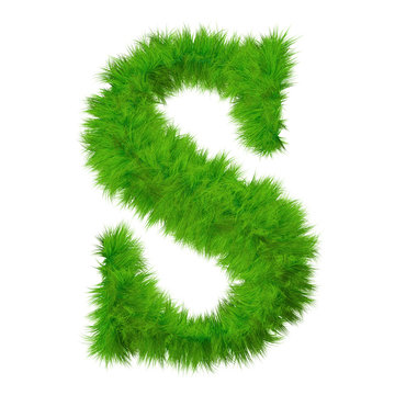 High resolution grass font isolated on white background