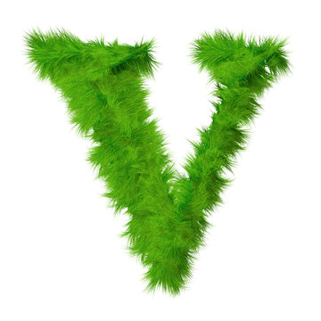 High resolution grass font isolated on white background