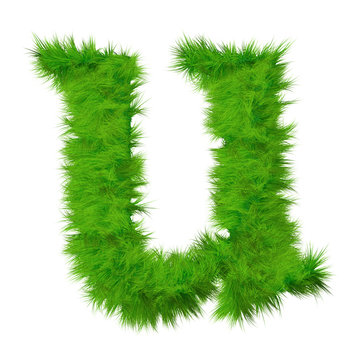 High resolution grass font isolated on white background