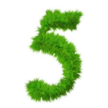 High resolution grass number isolated on white background