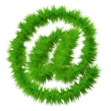 High resolution conceptual grass symbol isolated