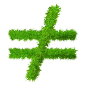 High resolution conceptual grass symbol isolated