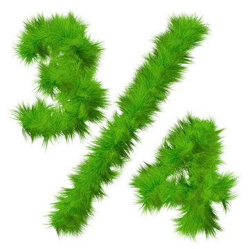 High resolution conceptual grass symbol isolated