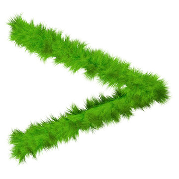 High resolution conceptual grass symbol isolated