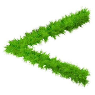 High resolution conceptual grass symbol isolated