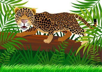 Poster - Leopard in the jungle