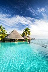 Wall Mural - infinity pool with palms and tropical ocean