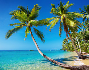 Canvas Print - Tropical beach, Thailand