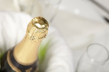 Sticker - Champagne bottle in an icer