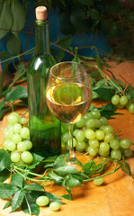 Wall Mural - Wine glass with bottle for wine tasting