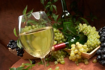 Wall Mural - White dry wine, fresh clusters of a grapes