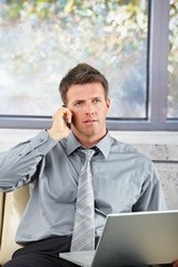 Poster - Businessman on call with laptop on sofa