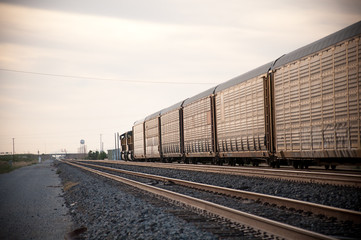 Wall Mural - Cargo loco train rolling through Arizona desert